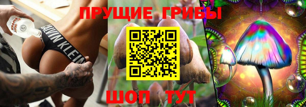 Галлюциногенные грибы прущие грибы  Вход с VPN  Амурск 